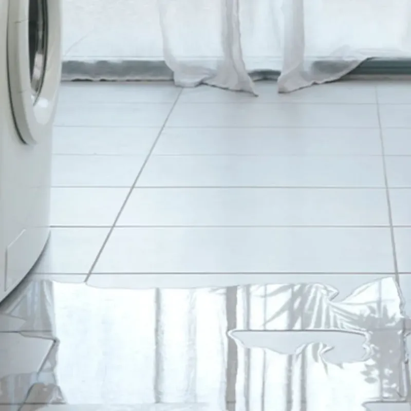Appliance Leak Cleanup in Kent City, MI